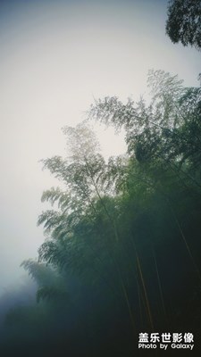 冬日的山風(fēng)拂面