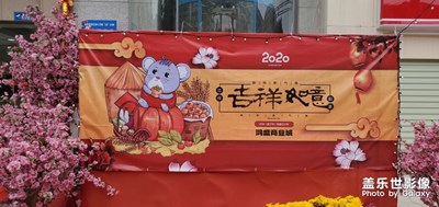 【鼠年吉祥】+望鼠年好運(yùn)