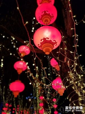 燈籠高掛 喜迎新春