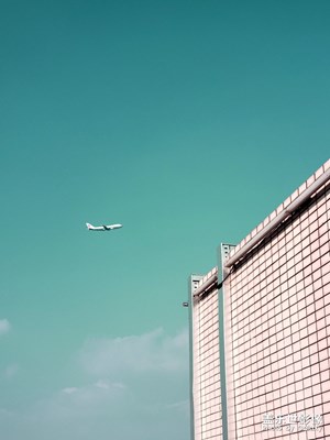 【新春】+ 2020春節(jié)