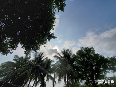 半山半島園區(qū)見聞