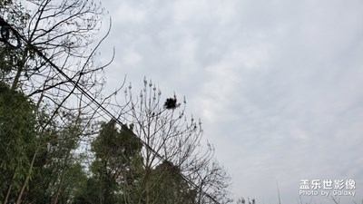 我家在農(nóng)村