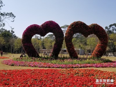 【新春】+慵懶的日子