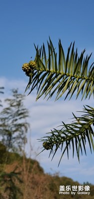 怎么添加照片參數(shù)