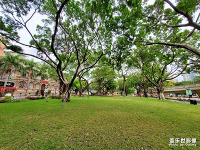 【鼠年吉祥】+過年隨手拍