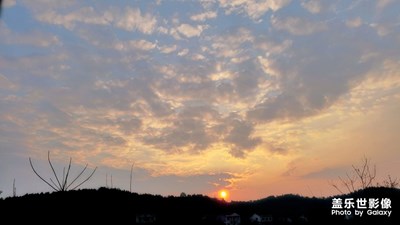 勝日尋芳泗水濱，無(wú)邊光景一時(shí)新