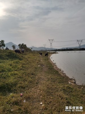 家鄉(xiāng)景色