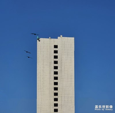 手機隨拍（坐標：遵義）