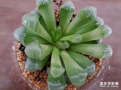 【我的生活】+努力生活