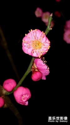 立春了，N10曬圖