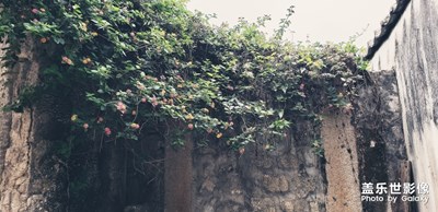 2020特殊的元宵節(jié)