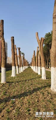 等等，春天快到了