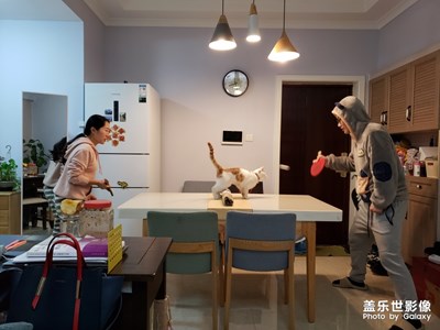 【身邊的景色】+宅家戰(zhàn)“疫”