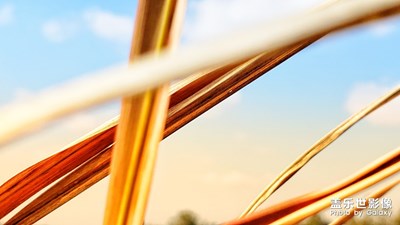 二月家鄉(xiāng)隨手拍