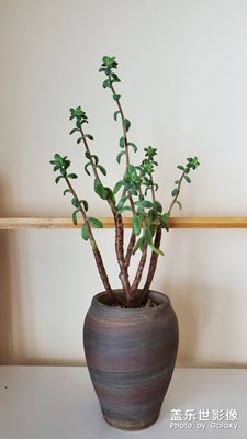 【身邊的景色】+屋內(nèi)視角