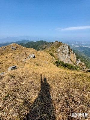 分享最近拍的照片