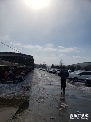 太陽雪