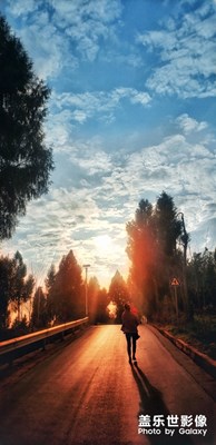 總結(jié):城市套路深，我要回農(nóng)村（一）