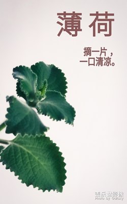 【給最想見的你】靜物拍攝