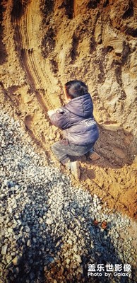 總結(jié):城市套路深，我要回農(nóng)村（二）