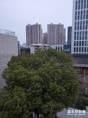 春暖花開 共克時艱