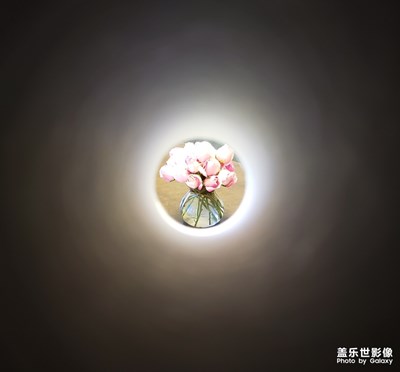 “疫”路前行 花開不敗