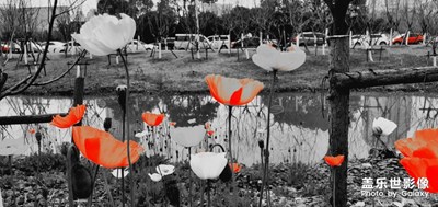 這個冬天，總有一些溫暖與你不期而遇