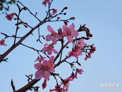 好天氣，出來(lái)走走
