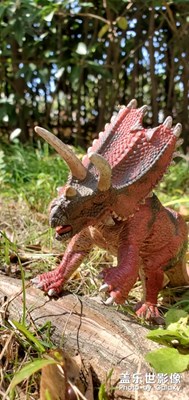 帶你走進侏羅紀(jì)世界