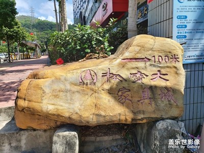 試試A90 5G白天拍攝效果