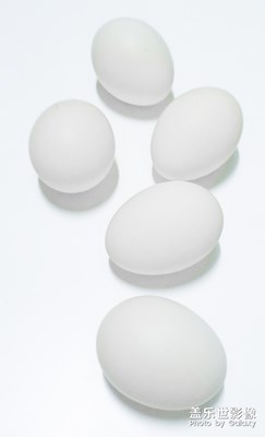 【居家生活】生活物品隨拍