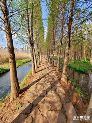 撈魚河公園時光