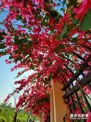 春回大地，萬(wàn)物復(fù)蘇。