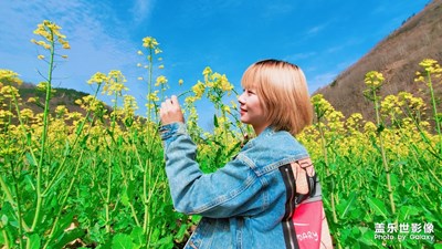 山花爛漫時她在叢中笑