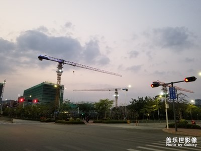 【上下班的路上】+日月輪回花正紅