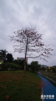 【上下班的路上】拍拍