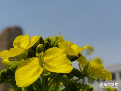 實驗貼看看能不能顯示照片信息