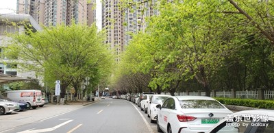 【上下班的路上】+感受植物的生命力