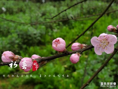 走，帶上春天