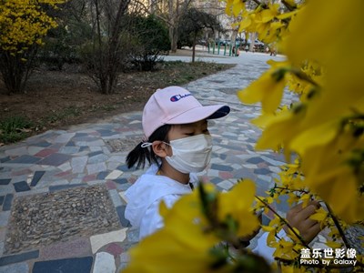 隨手拍-春暖花開，出來溜娃！