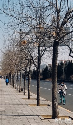 【賞春】靜待花開