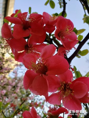 上班途中，路邊隨拍