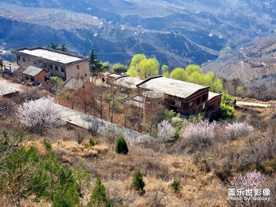 【賞春】+在那桃花盛開的地方