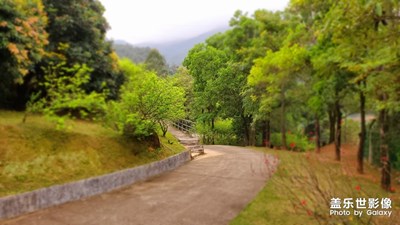 春晨，一人順道而行