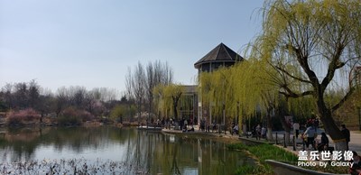 【賞春】+樹木園