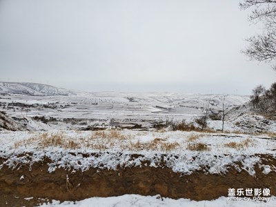 三月飛雪，