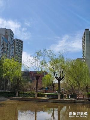 今天北京天氣好到爆炸