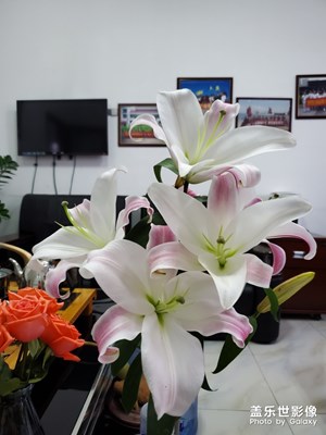 辦公室的??不錯(cuò)