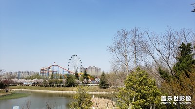 園游會