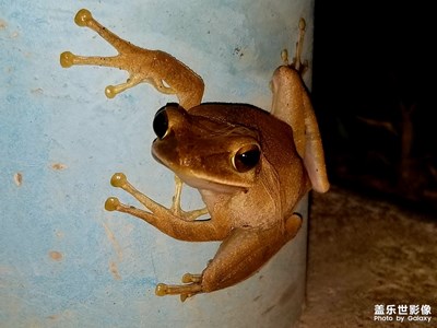 準(zhǔn)備行動(dòng)